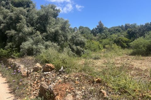 Helårsgrund i Almancil, Faro, Almancil - € 697.000 | Ref: AV-PBI-1398 - foto 12