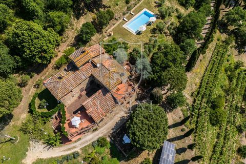 Villa i Sinalunga, Siena, Sinalunga - € 1.300.000 | Ref: 466 - foto 3