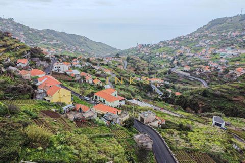 Helårsgrund i Ribeira Brava, Madeira, Ribeira Brava - € 108.000 | Ref: LH-809-2026 - foto 4