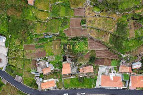 Helårsgrund i Ribeira Brava, Madeira, Ribeira Brava - € 108.000 | Ref: LH-809-2026 - foto 5
