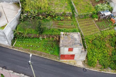 Helårsgrund i Ribeira Brava, Madeira, Ribeira Brava - € 108.000 | Ref: LH-809-2026 - foto 8