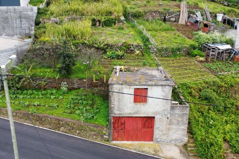 Helårsgrund i Ribeira Brava, Madeira, Ribeira Brava - € 108.000 | Ref: LH-809-2026 - foto 10