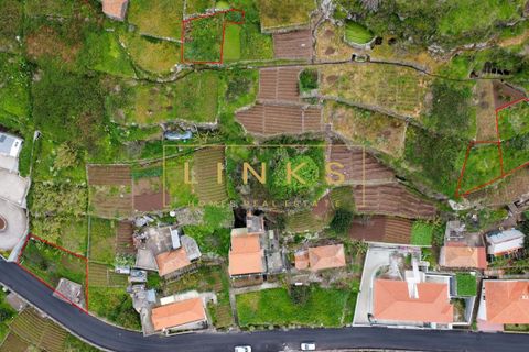 Helårsgrund i Ribeira Brava, Madeira, Ribeira Brava - € 108.000 | Ref: LH-809-2026 - foto 11