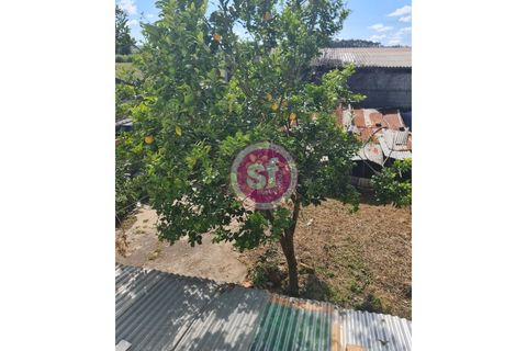 Villa a Mealhada, Aveiro, Mealhada - € 195.000 | Ref: 010501082 - foto 16