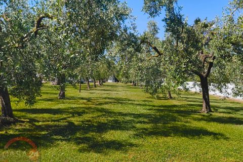 Villa a Latina, Latina, Latina - € 349.000 | Ref: 3173 - foto 47