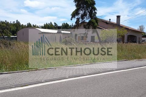 Helårsgrund i Cantanhede, Coimbra, Cantanhede - € 52.000 | Ref: T26008 - foto 1