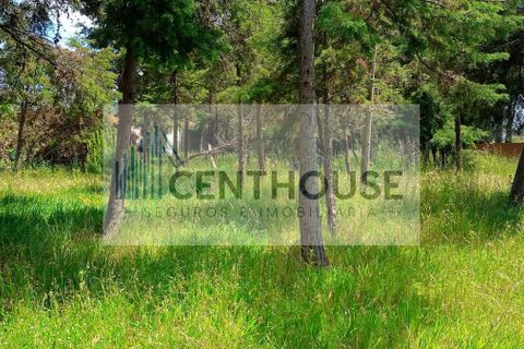 Helårsgrund i Cantanhede, Coimbra, Cantanhede - € 52.000 | Ref: T26008 - foto 2