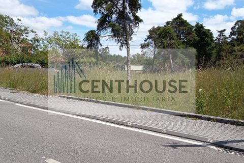 Helårsgrund i Cantanhede, Coimbra, Cantanhede - € 52.000 | Ref: T26008 - foto 5