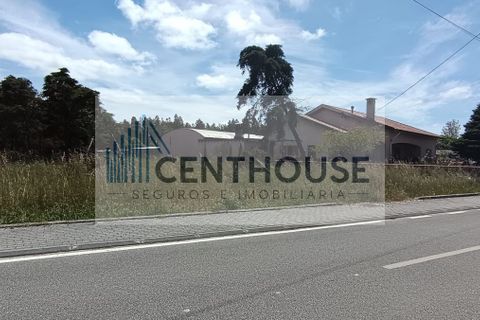 Helårsgrund i Cantanhede, Coimbra, Cantanhede - € 52.000 | Ref: T26008 - foto 6