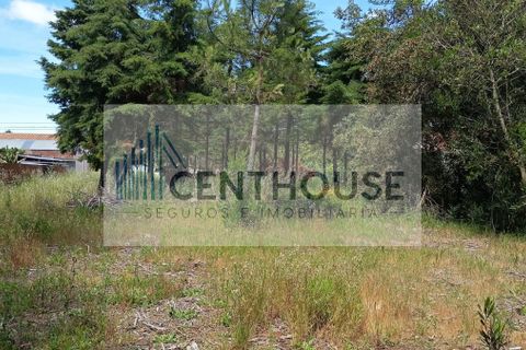 Helårsgrund i Cantanhede, Coimbra, Cantanhede - € 52.000 | Ref: T26008 - foto 7