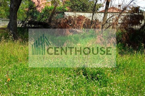 Helårsgrund i Cantanhede, Coimbra, Cantanhede - € 52.000 | Ref: T26008 - foto 8
