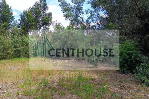 Helårsgrund i Cantanhede, Coimbra, Cantanhede - € 52.000 | Ref: T26008 - foto 9