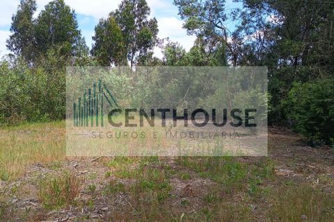 Helårsgrund i Cantanhede, Coimbra, Cantanhede - € 52.000 | Ref: T26008 - foto 10