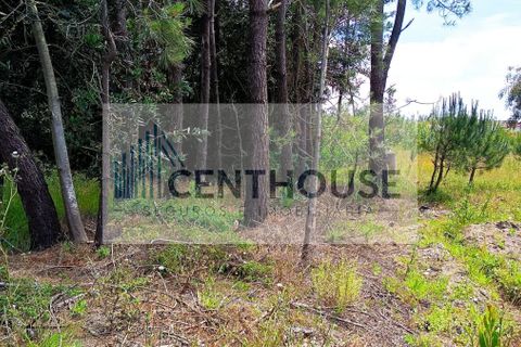 Helårsgrund i Cantanhede, Coimbra, Cantanhede - € 52.000 | Ref: T26008 - foto 11
