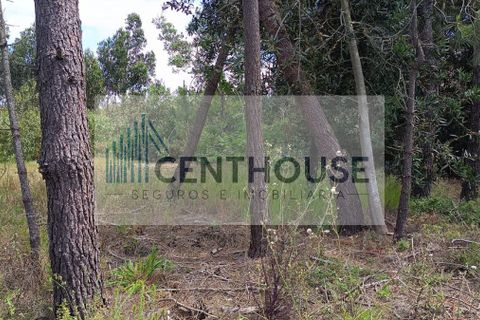 Helårsgrund i Cantanhede, Coimbra, Cantanhede - € 52.000 | Ref: T26008 - foto 12