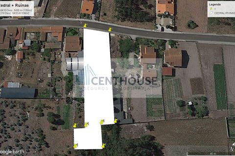 Helårsgrund i Cantanhede, Coimbra, Cantanhede - € 52.000 | Ref: T26008 - foto 14
