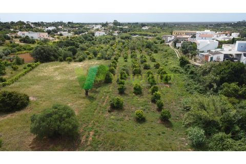 Helårsgrund i Moncarapacho, Faro, Moncarapacho - € 59.000 | Ref: LT-7299 - foto 2