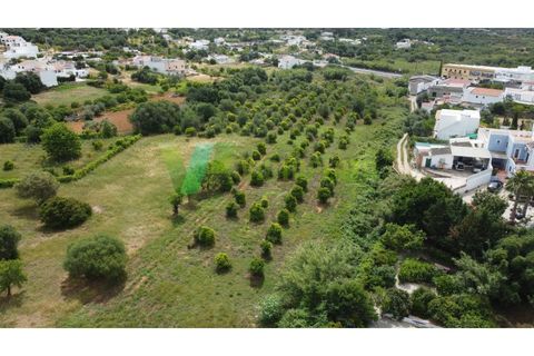 Helårsgrund i Moncarapacho, Faro, Moncarapacho - € 59.000 | Ref: LT-7299 - foto 3
