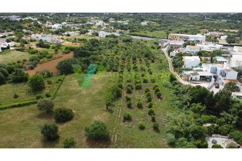 Helårsgrund i Moncarapacho, Faro, Moncarapacho - € 59.000 | Ref: LT-7299 - foto 4