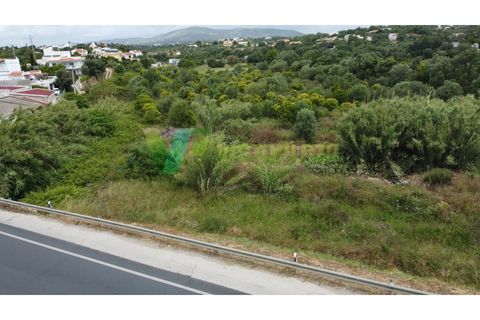 Helårsgrund i Moncarapacho, Faro, Moncarapacho - € 59.000 | Ref: LT-7299 - foto 7