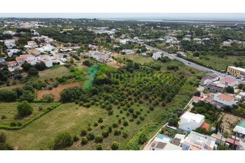 Helårsgrund i Moncarapacho, Faro, Moncarapacho - € 59.000 | Ref: LT-7299 - foto 9