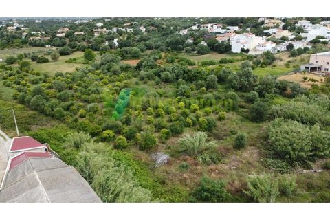 Helårsgrund i Moncarapacho, Faro, Moncarapacho - € 59.000 | Ref: LT-7299 - foto 11