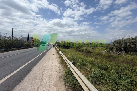 Helårsgrund i Moncarapacho, Faro, Moncarapacho - € 59.000 | Ref: LT-7299 - foto 14