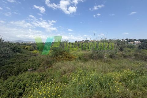 Helårsgrund i Moncarapacho, Faro, Moncarapacho - € 59.000 | Ref: LT-7299 - foto 18