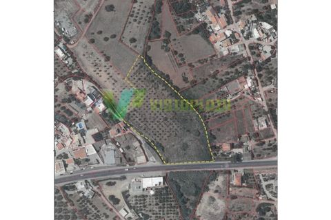 Helårsgrund i Moncarapacho, Faro, Moncarapacho - € 59.000 | Ref: LT-7299 - foto 23