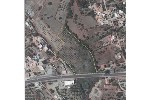 Helårsgrund i Moncarapacho, Faro, Moncarapacho - € 59.000 | Ref: LT-7299 - foto 24