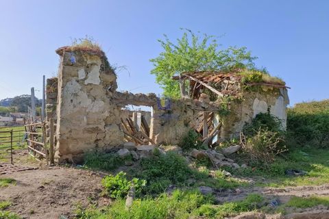 Helårsgrund i Alcobaca, Leiria, Alcobaca - € 175.000 | Ref: LIZ-216586 - foto 4