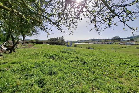 Helårsgrund i Alcobaca, Leiria, Alcobaca - € 175.000 | Ref: LIZ-216586 - foto 6