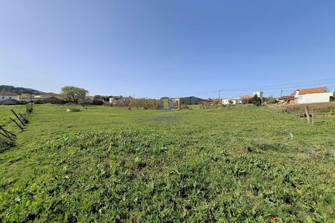 Helårsgrund i Alcobaca, Leiria, Alcobaca - € 175.000 | Ref: LIZ-216586 - foto 8