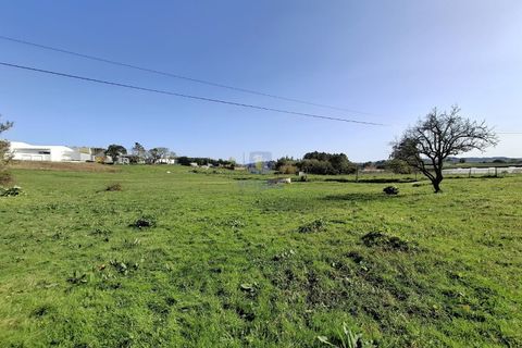 Helårsgrund i Alcobaca, Leiria, Alcobaca - € 175.000 | Ref: LIZ-216586 - foto 9