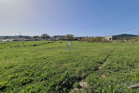 Helårsgrund i Alcobaca, Leiria, Alcobaca - € 175.000 | Ref: LIZ-216586 - foto 10