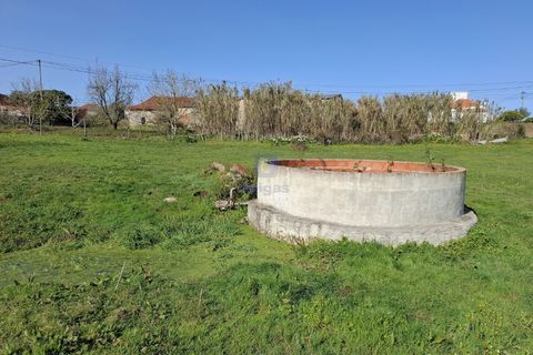 Helårsgrund i Alcobaca, Leiria, Alcobaca - € 175.000 | Ref: LIZ-216586 - foto 12