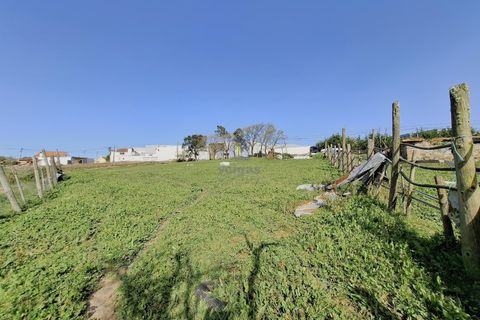 Helårsgrund i Alcobaca, Leiria, Alcobaca - € 175.000 | Ref: LIZ-216586 - foto 13