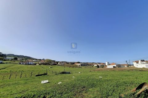 Helårsgrund i Alcobaca, Leiria, Alcobaca - € 175.000 | Ref: LIZ-216586 - foto 14