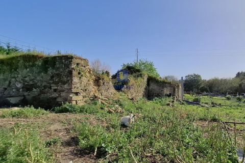 Helårsgrund i Alcobaca, Leiria, Alcobaca - € 175.000 | Ref: LIZ-216586 - foto 16