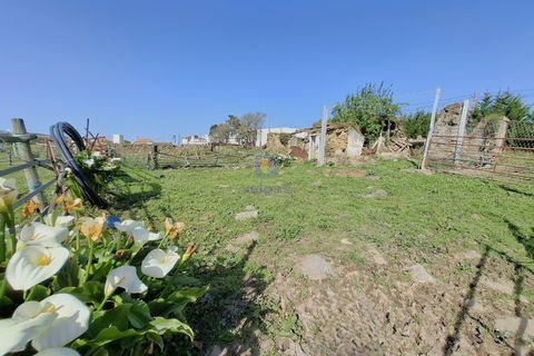 Helårsgrund i Alcobaca, Leiria, Alcobaca - € 175.000 | Ref: LIZ-216586 - foto 18