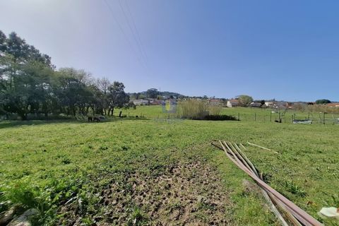 Helårsgrund i Alcobaca, Leiria, Alcobaca - € 175.000 | Ref: LIZ-216586 - foto 19