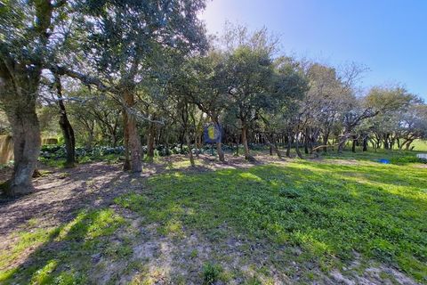 Helårsgrund i Alcobaca, Leiria, Alcobaca - € 175.000 | Ref: LIZ-216586 - foto 20