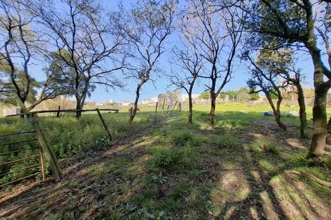 Helårsgrund i Alcobaca, Leiria, Alcobaca - € 175.000 | Ref: LIZ-216586 - foto 21