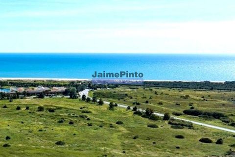 Helårsgrund i Ovar, Aveiro, Ovar - € 2.600.000 | Ref: 9985_T - foto 2