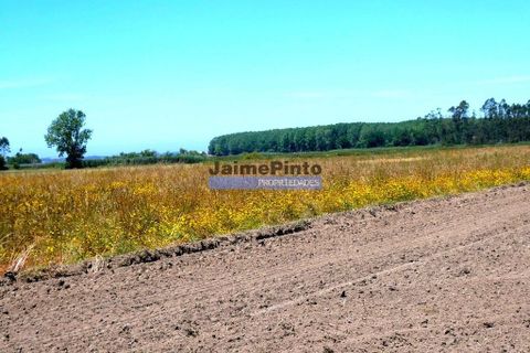 Helårsgrund i Ovar, Aveiro, Ovar - € 2.600.000 | Ref: 9985_T - foto 3