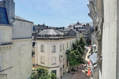 Duplex i Angers, Maine-et-Loire, Angers - € 245.000 | Ref: DOM29367 - foto 13