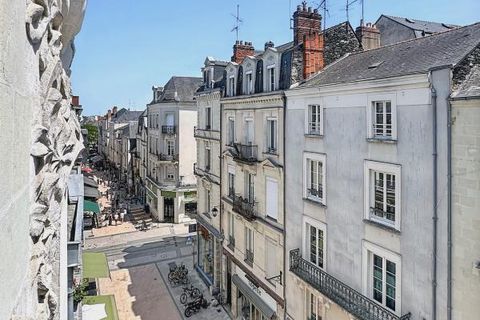 Duplex i Angers, Maine-et-Loire, Angers - € 245.000 | Ref: DOM29367 - foto 14