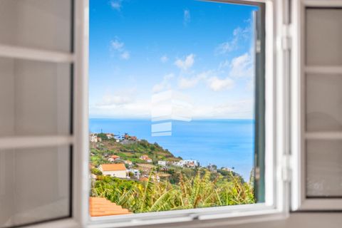 Villa i Ponta do Sol, Madeira, Ponta do Sol - € 280.000 | Ref: 05023 - foto 2