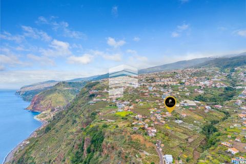 Villa i Ponta do Sol, Madeira, Ponta do Sol - € 280.000 | Ref: 05023 - foto 5