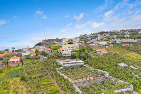 Villa i Ponta do Sol, Madeira, Ponta do Sol - € 280.000 | Ref: 05023 - foto 8